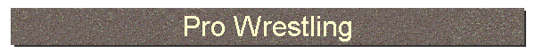 Pro Wrestling
