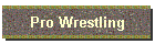 Pro Wrestling