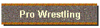 Pro Wrestling